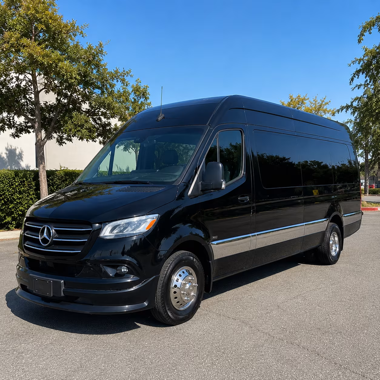 grand prairie birthday party transportation onboard seating