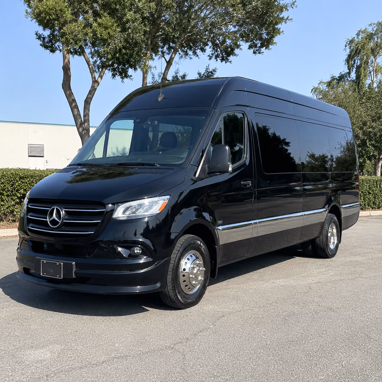 grand prairie sprinter van with driver
